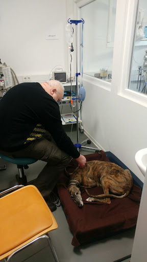 Veterinary practice Ulrike Mörsdorf unter Sankt Wendel, 