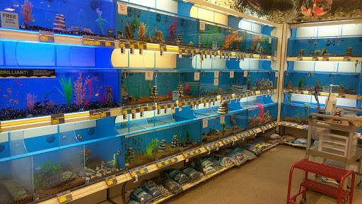 Pet Supply Store «PetSmart», reviews and photos, 637 Woodbury Glassboro Rd, Sewell, NJ 08080, USA