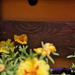 Photo n°2 de l'avis de Gaspa.3 fait le 21/05/2022 à 16:01 sur le  Bagno Kilauea à Lido di Savio