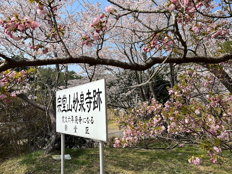 宗堂桜
