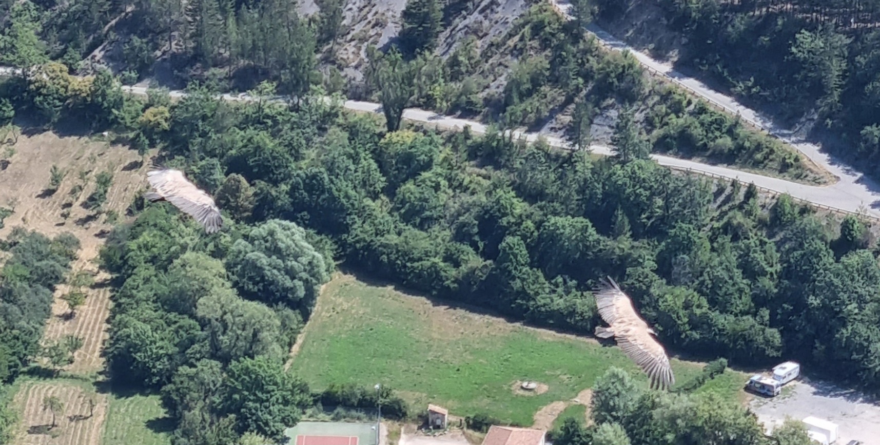 Photo n° 3 de l'avis de Isabelle. fait le 13/08/2023 à 17:06