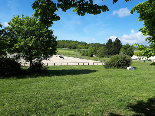 Centre Equestre de Cognac à Cherves-Richemont, Charente