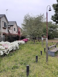 練馬区立さくら公園