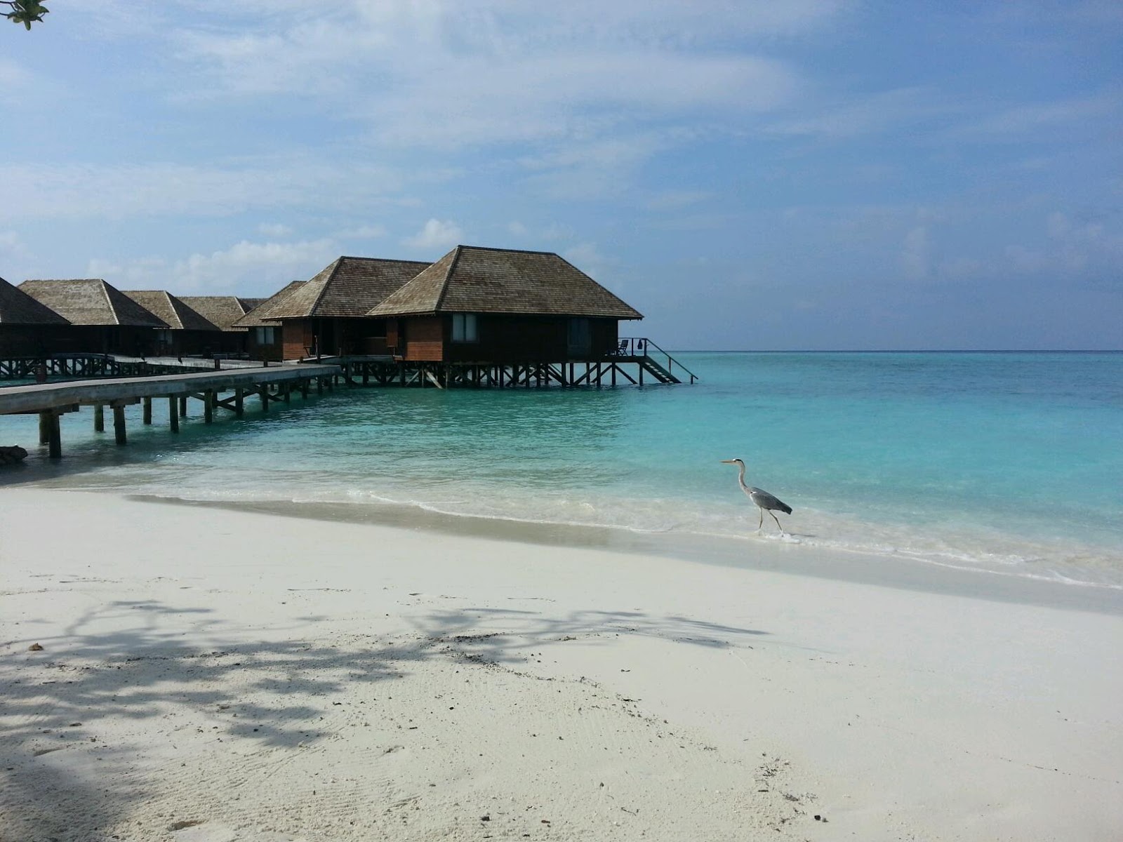 Foto van Veligandu Island Resort en de nederzetting