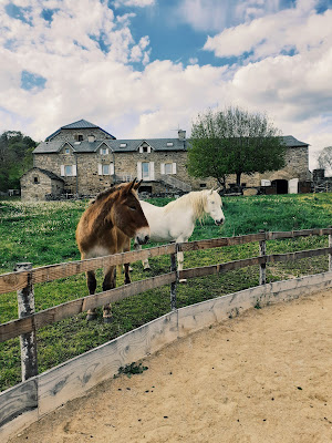 Ferme du Mulet à Sévérac-d'Aveyron