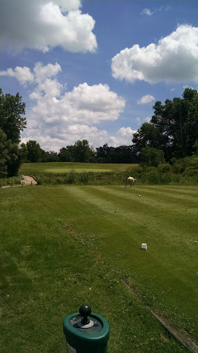 Public Golf Course «Meridian Sun Golf Club», reviews and photos, 1018 Haslett Rd, Haslett, MI 48840, USA