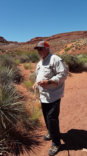 Dinosaur Tracks - photo 40