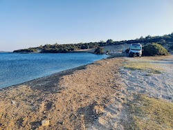 Ciftlik Koy photo #6