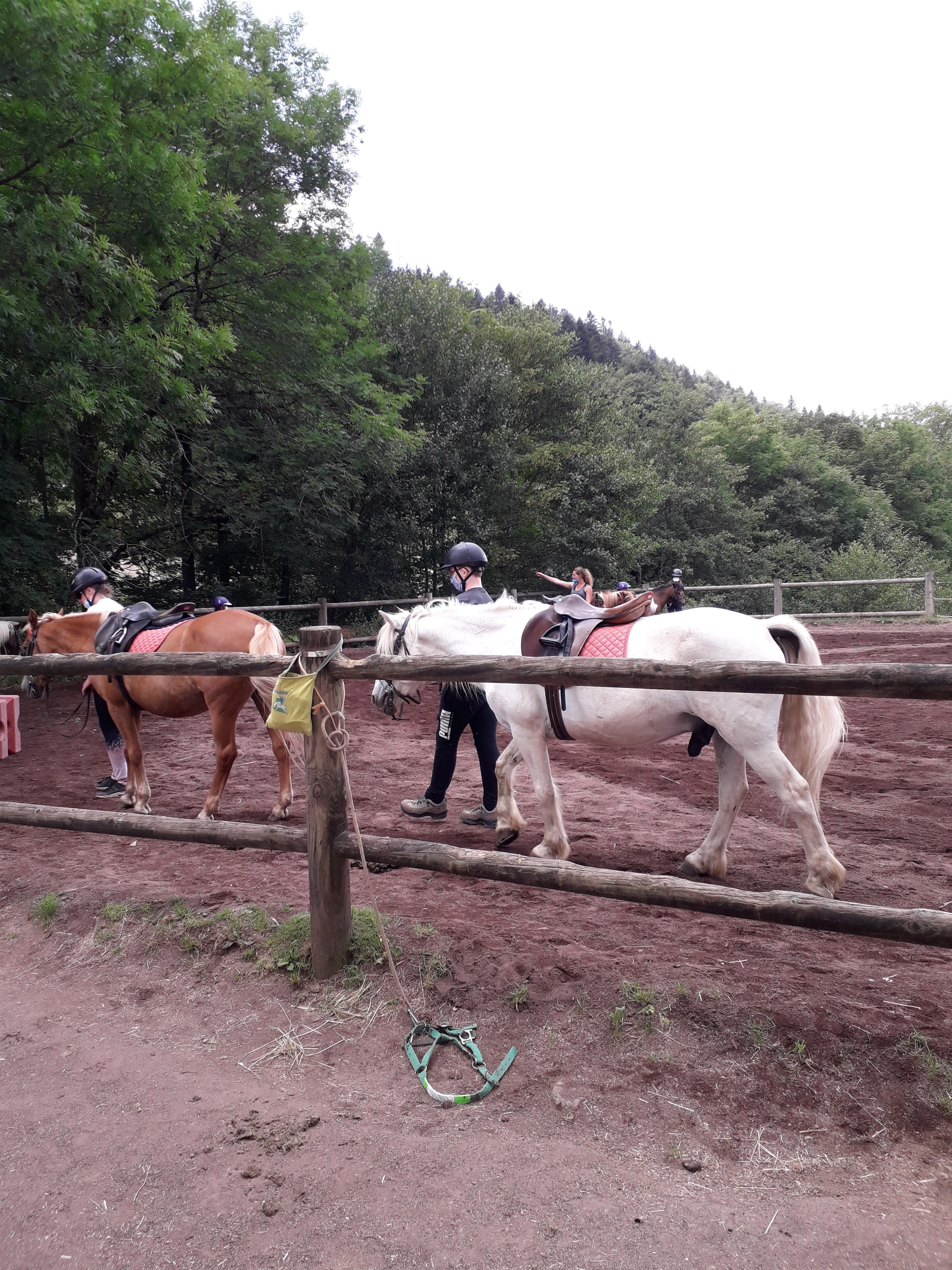 Photo n° 1 de l'avis de Eric.O fait le 21/07/2020 à 14:42