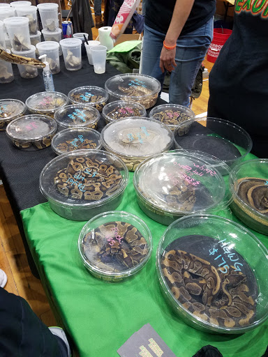 Event Venue «Rochester Main Street Armory», reviews and photos, 900 E Main St, Rochester, NY 14605, USA