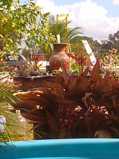 Pet Store «Fancy Tails Fish Farm», reviews and photos, 2324 US Hwy 27 S, Sebring, FL 33872, USA