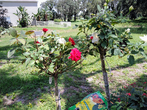 Hardware Store «Ace Hardware», reviews and photos, 3636 S Washington Ave, Titusville, FL 32780, USA