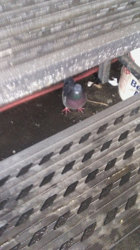 Car Wash «Ventura Car Wash», reviews and photos, 13320 Ventura Blvd, Sherman Oaks, CA 91423, USA