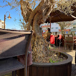 Photo n°3 de l'avis de Angelina.a fait le 21/01/2024 à 16:43 sur le  Ferniela d'ruz à Santa Maria da Feira