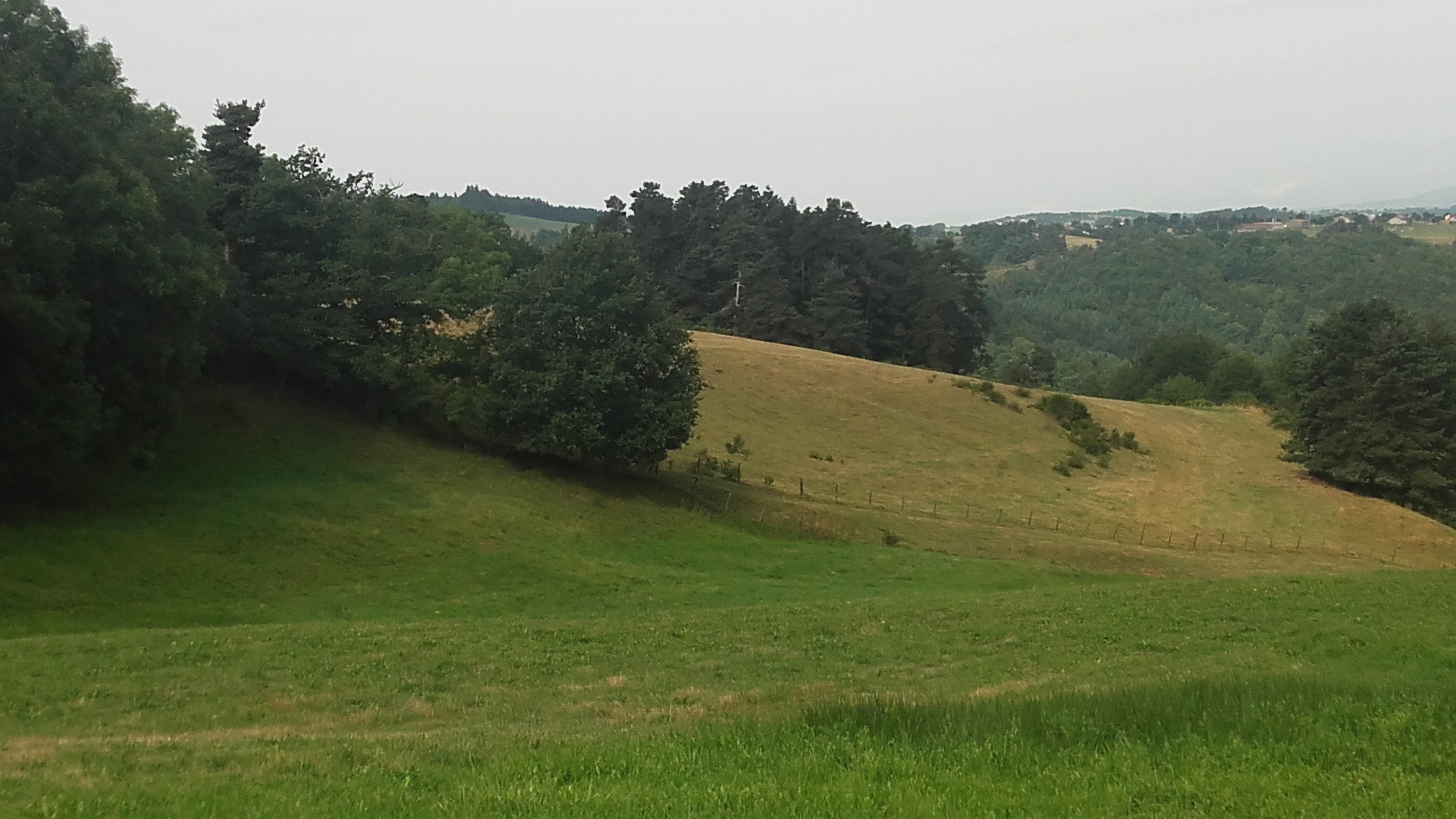 Photo n° 1 de l'avis de Jean-louis.a fait le 30/07/2017 à 08:49