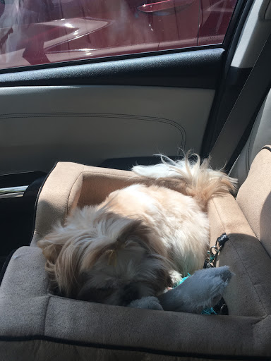 Pet Supply Store «Petco Animal Supplies», reviews and photos, 7303 Pinnacle Pkwy, Covington, LA 70433, USA