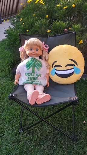 Dollar Store «Dollar Tree», reviews and photos, 11837 Artesia Blvd, Artesia, CA 90701, USA