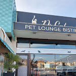 Photo n°15 de l'avis de Annalisa.. fait le 22/01/2022 à 14:33 sur le  Dr. Cat - Pet Lounge Bistrot à Brescia