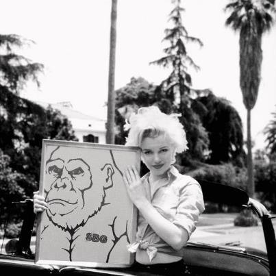 Martial Arts School «SBG East Coast», reviews and photos, 14 Kendrick Rd, Wareham, MA 02571, USA