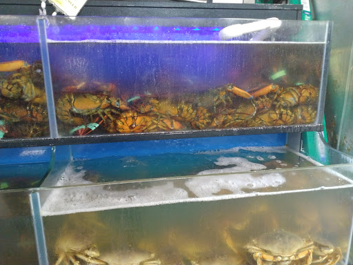 Asian Grocery Store «Viet Hoa Food Market», reviews and photos, 7100 Preston Hwy # 107, Louisville, KY 40219, USA