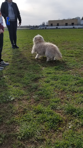 Park «Memorial Field Park», reviews and photos, 46 Lower Rd, Linden, NJ 07036, USA