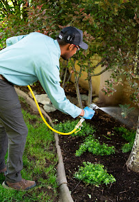 Evergreen Pest Solutions - Photo 9 - Car repair in Boise, ID, Boise