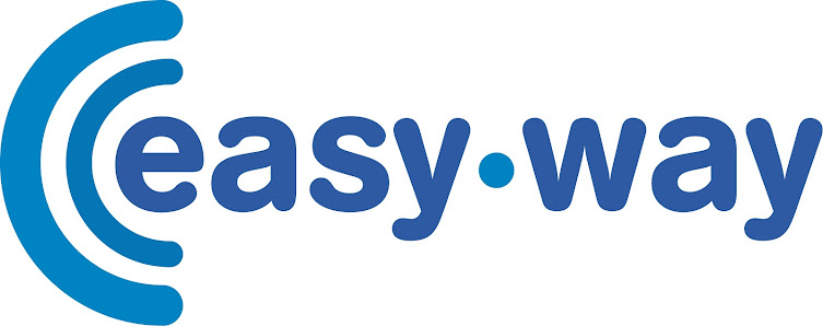 Easy-Way Informatique 98 Av. Aristide Briand, 38220 Vizille, France