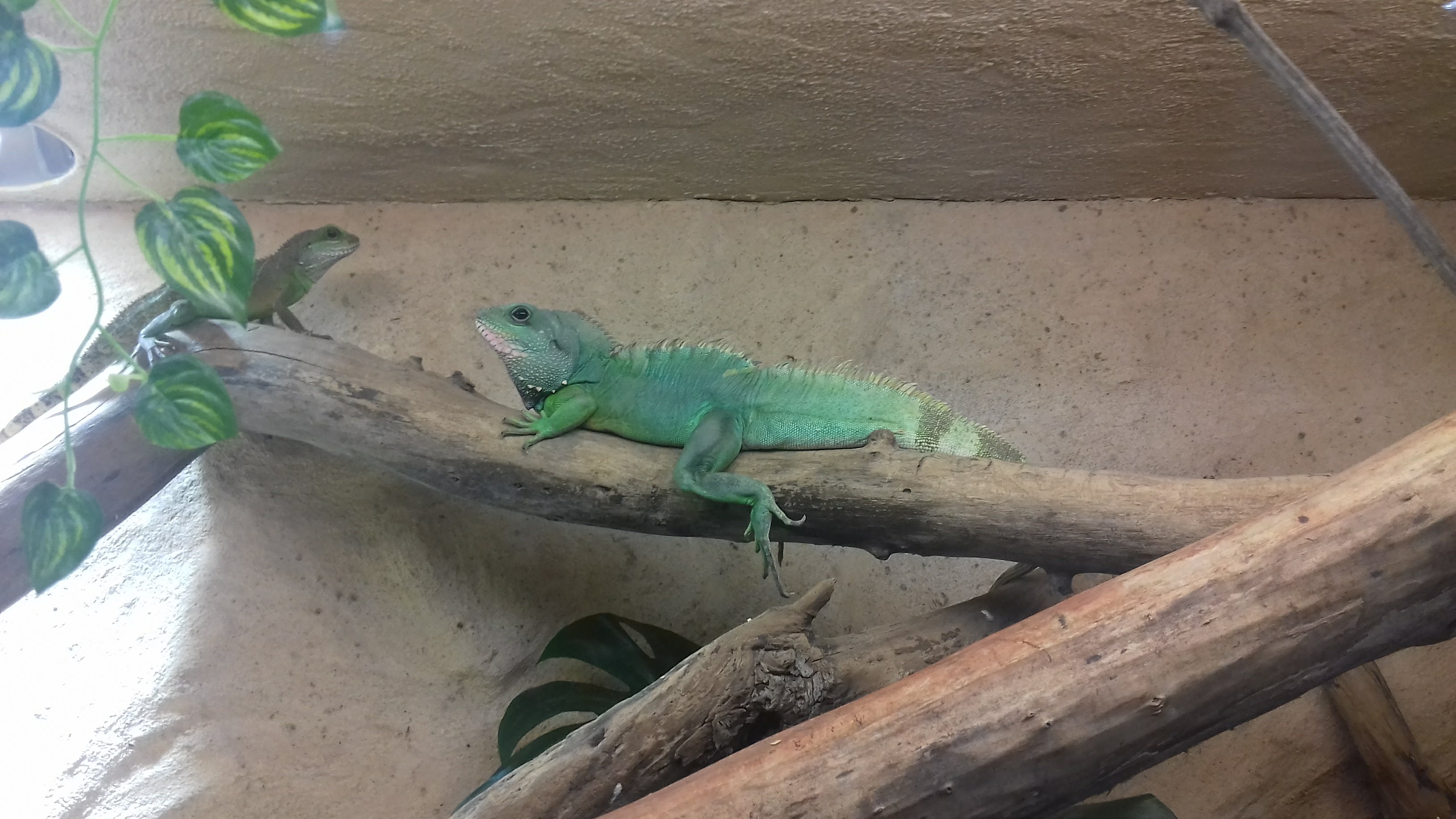 Photo n° 3 de l'avis de Jennifer.i fait le 24/06/2018 à 13:24