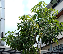 People's Place Cafe photo
