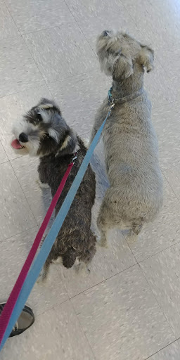 Pet Supply Store «Petco Animal Supplies», reviews and photos, 181 North 545 West, West Bountiful, UT 84087, USA