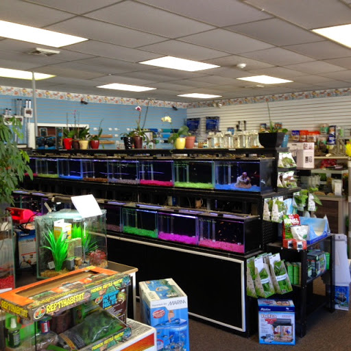 Pet Store «Fins And Feathers», reviews and photos, 222 Willow Ave, Honesdale, PA 18431, USA
