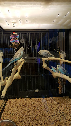 Pet Supply Store «PetSmart», reviews and photos, 6050 Peachtree Pkwy, Norcross, GA 30092, USA