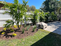 JaPaul Scape - Photo 2 - Car repair in St. Petersburg, FL, St. Petersburg
