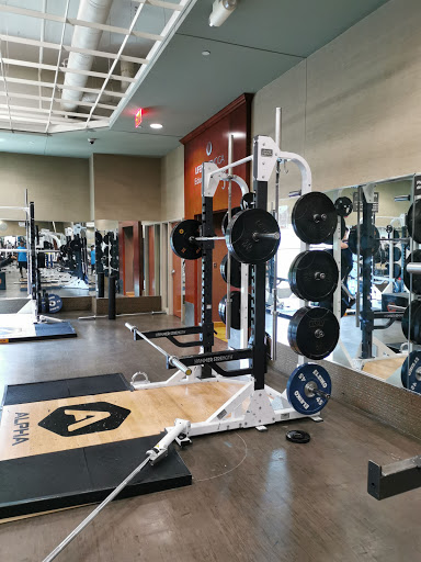 Gym «Life Time Fitness», reviews and photos, 1700 N Haggerty Rd, Canton, MI 48187, USA