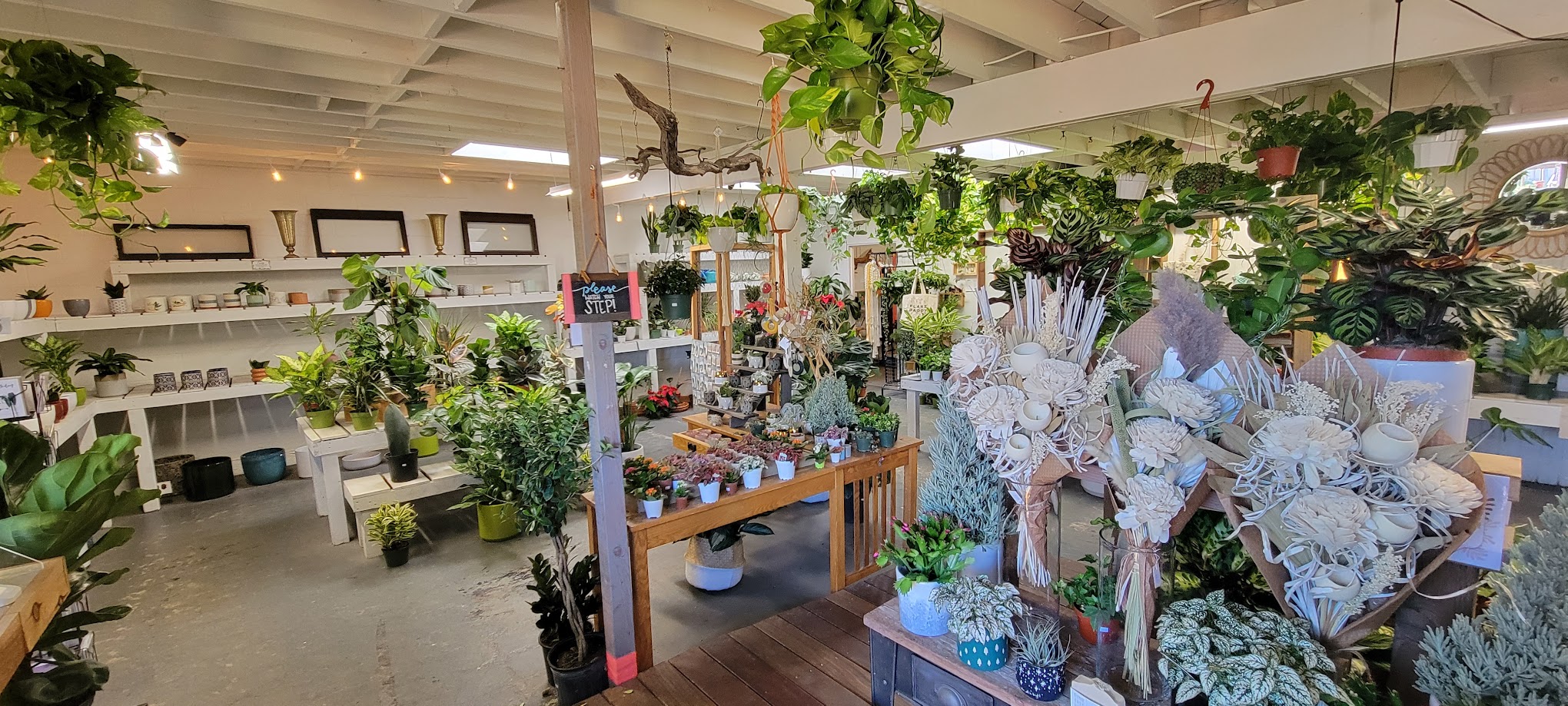 North Park Nursery