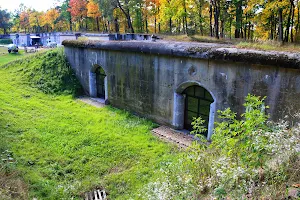 Fort X Henrysin image