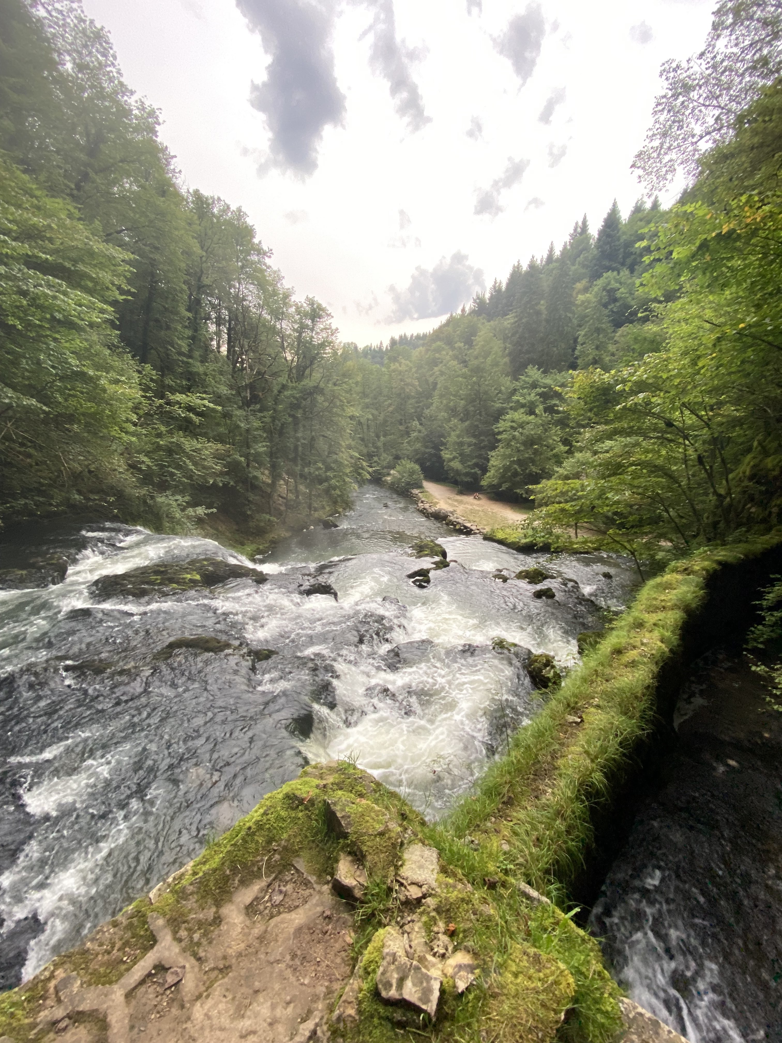 Photo n° 2 de l'avis de Alwin. fait le 16/08/2021 à 20:24