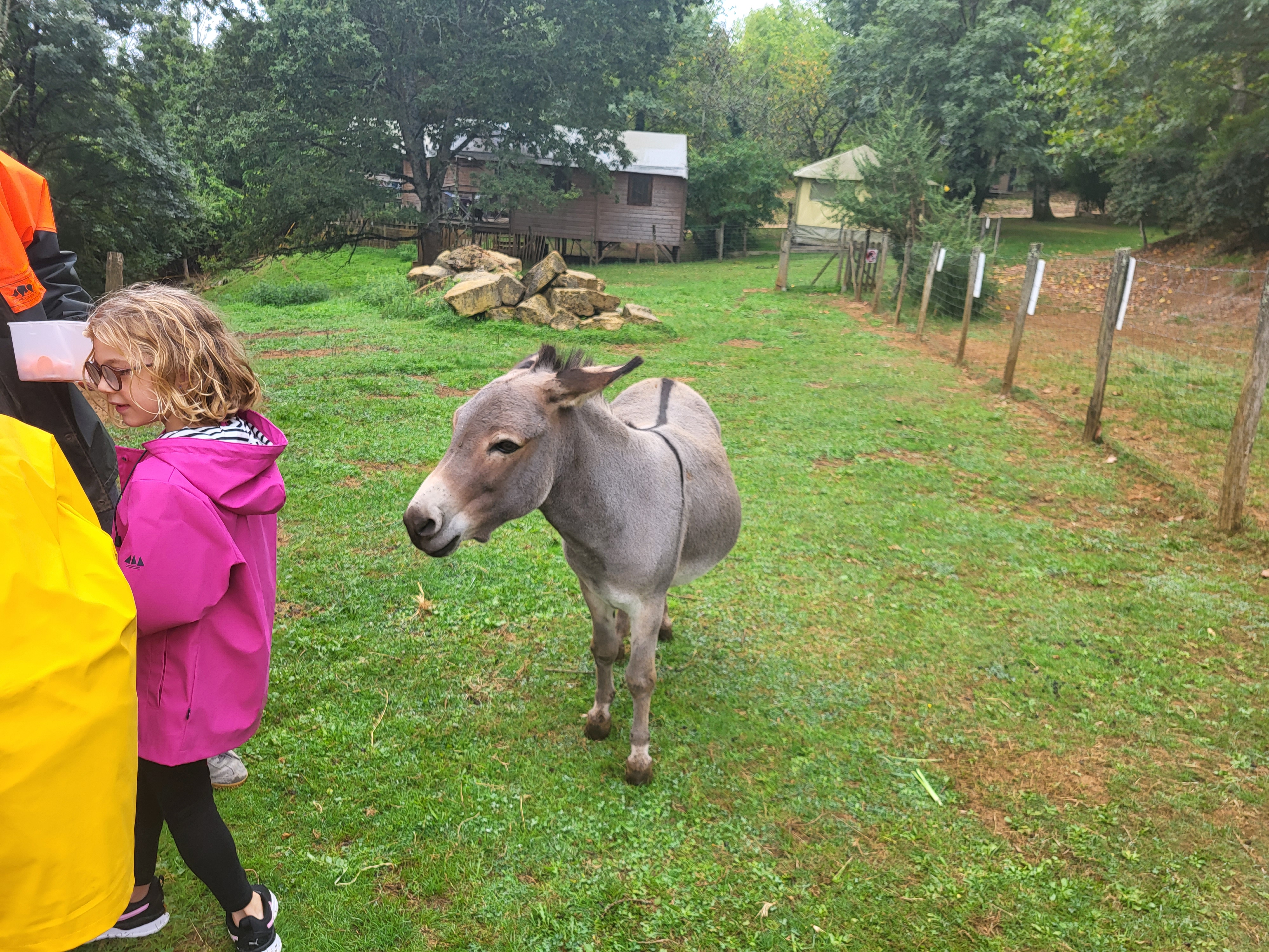 Photo n° 1 de l'avis de Aurelie.y fait le 04/09/2023 à 13:36