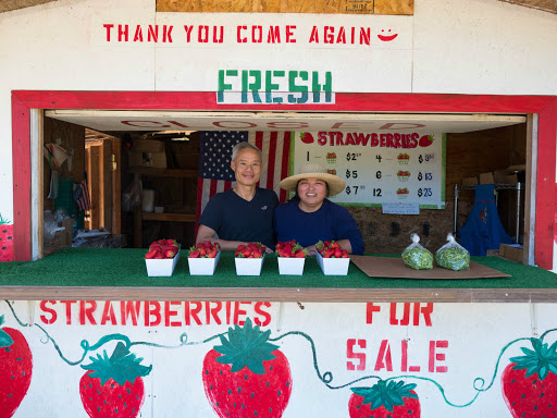 Nathan And Fam Lee Strawberry Stand