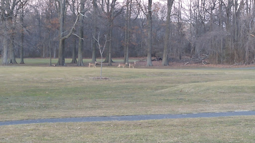 Golf Course «South Shore Golf Course», reviews and photos, 200 Huguenot Ave, Staten Island, NY 10312, USA