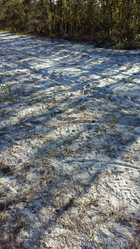 Nature Preserve «Green Swamp Wilderness Preserve», reviews and photos, 28057 FL-471, Webster, FL 33597, USA