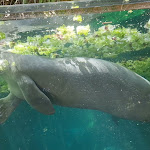 Photo n° 25 de l'avis de Dominique.A fait le 28/05/2023 à 15:06 pour ZooParc de Beauval Entrée Nord à Saint-Aignan