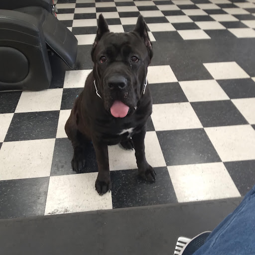 Barber Shop «Yates Barber Shop», reviews and photos, 7339 E Colonial Dr #11, Orlando, FL 32807, USA