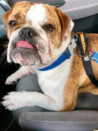 Beauty Salon «ananda hair studio», reviews and photos, 22 Broadway St, Asheville, NC 28801, USA