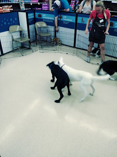 Pet Supply Store «Petco Animal Supplies», reviews and photos, 2095 N Harris Blvd, Layton, UT 84041, USA