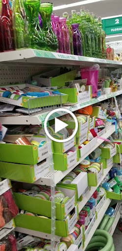 Dollar Store «Dollar Tree», reviews and photos, 1238 S Magnolia Ave, Anaheim, CA 92804, USA