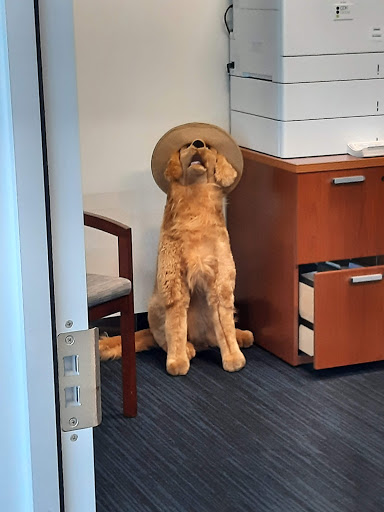 Subaru Dealer «Maita Subaru», reviews and photos, 2912 Auburn Blvd, Sacramento, CA 95821, USA