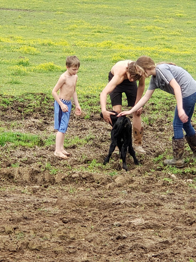 Wheel Alignment Service «Dickson Farmers Co-Op», reviews and photos, 705 Henslee Dr, Dickson, TN 37055, USA