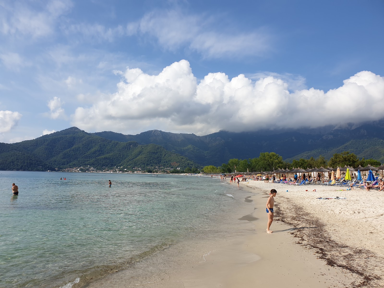 Foto di Golden Sand beach sorretto da scogliere