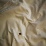 Photo n°1 de l'avis de Giommaria.a fait le 06/10/2019 à 22:06 sur le  Hotel Sandalia à Nuoro